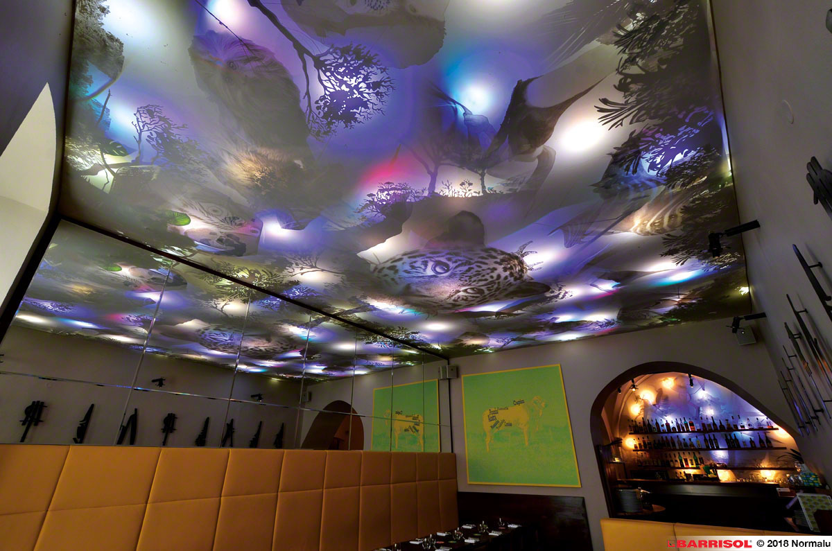 игра на светлини и цветове принтирани върху опънати тавани Барисол